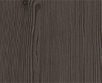 Anthracite Mountain Larch